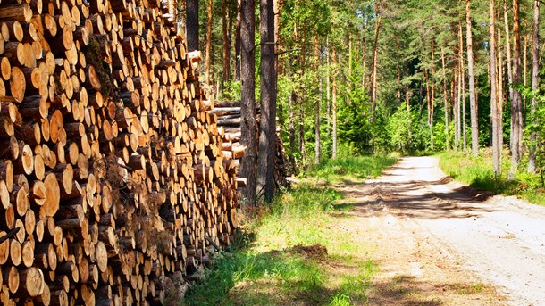 Produktionen af flis fra Naturstyrelsens statsskove er blevet certificeret efter ordningen Sustainable Biomass Partnership (SBP), der blandt andet dokumenterer klimagevinsten ved biomassen.