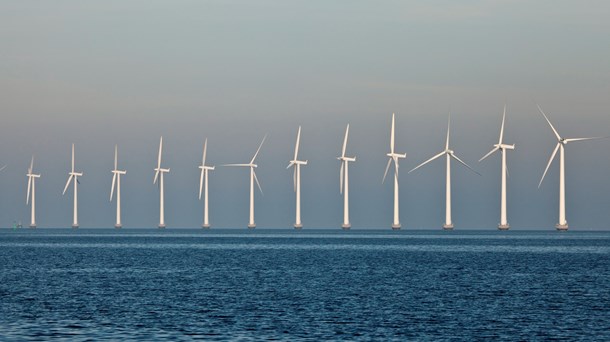 Vi har aldrig været ude og være fortalere for kystnære havvindmøller, lyder det fra Danmarks Naturfredningsforening, som dog tøver i kampen mod dem.