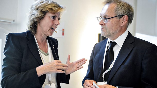 Connie Hedegaard skal rådgive VW