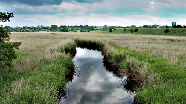 Med kommunalreformen overtog landets kommuner ansvaret for langt de fleste natur- og miljøopgaver, der tidligere lå hos amterne.