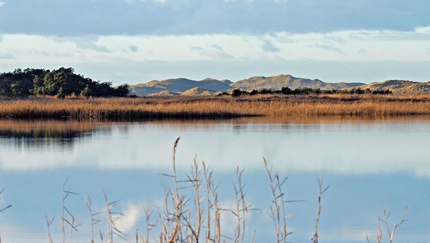 Nationalpark får ny formand