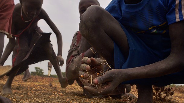 Op imod 100.000 sudanesere står på grund af tørke, borgerkrig og en økonomi i frit fald overfor at dø af sult, hvis de ikke får hjælp, melder en række FN-organisationer.