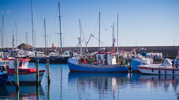 Professor: Hvad skal vi bruge havet til?