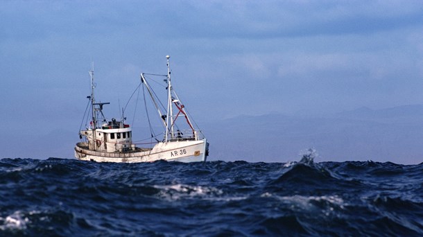 WWF: Vi bør satse på bæredygtig fiskeproduktion