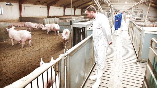 Hver gang man forbyder et antibiotikum, ryger forbruget blot over på andre og måske mindre hensigtsmæssige behandlingsformer, lyder advarslen. 