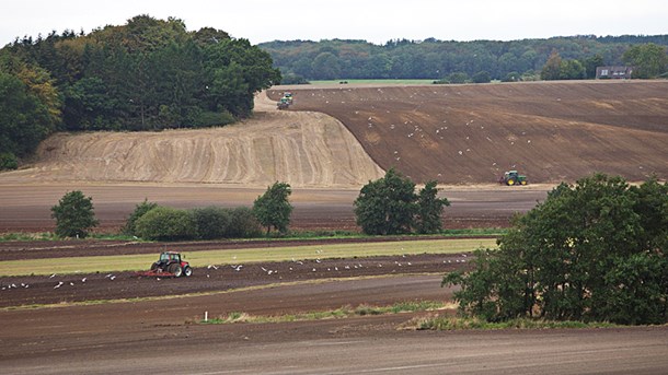 Det anbefaler stort arealprojekt