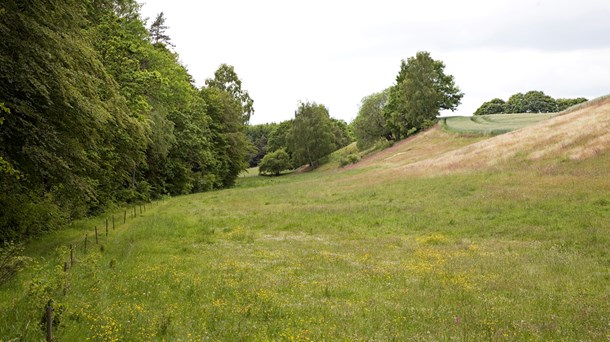 EU vil styrke naturindsatsen