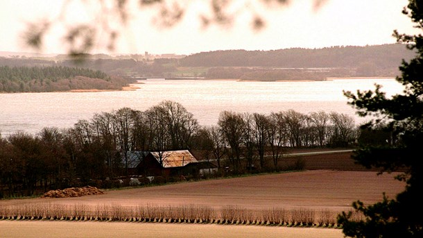 Foreningen mod Tange sø: Søen er en økonomisk klods om benet