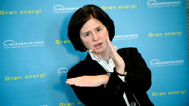 Energikommissionens arbejde flugter enormt godt med Klimakommissionens, og i øvrigt også med arbejdet fra Klimarådet, mener Katherine Richardson.