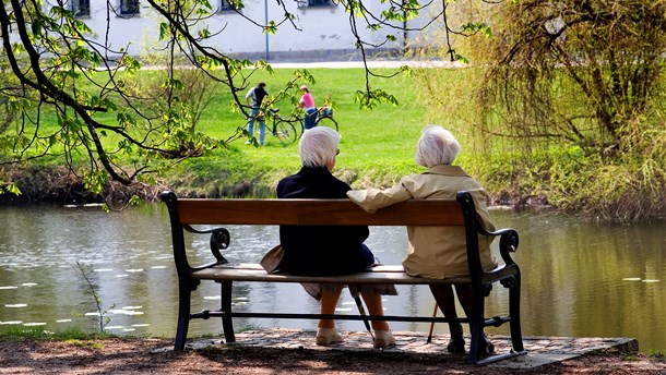 Pensionsselskab: Nu må en pensionsreform stå først i køen