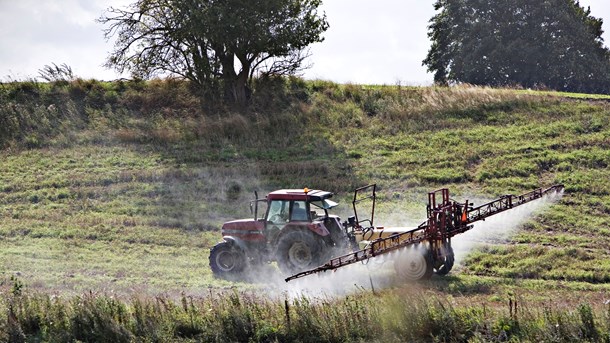 EU prøver igen: Vil give glyphosat ti år til