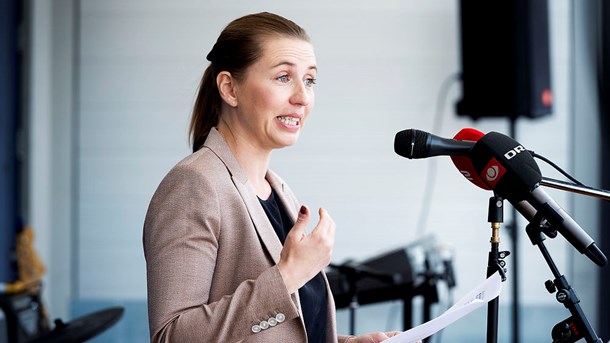 Her er de nye politiske forslag på grundlovsdag