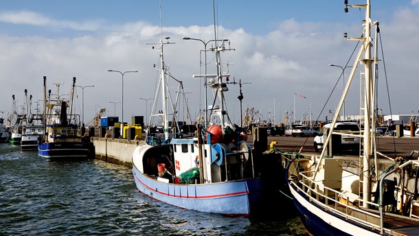 Danmarks Fiskeriforening: Kom og mød os, Maria Gjerding!