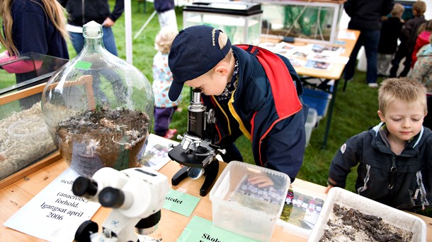 Naturvidenskabsfestivalen i 2008. Nordea-fonden har i år givet 1,5 millioner til festivalen.