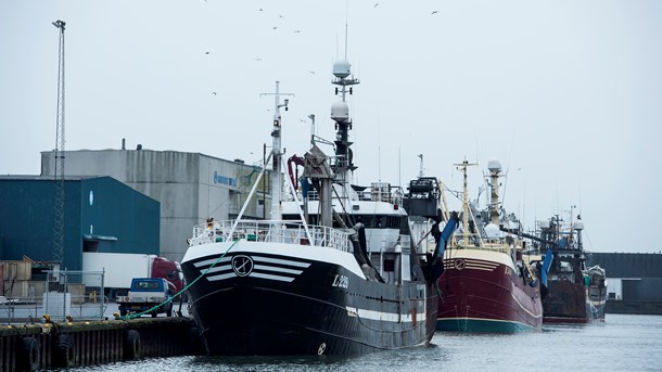 Rigsrevisionens undersøgelse af Miljø- og Fødevareministeriet har indikeret en række ulovlige forseelser blandt fiskere og fiskeriselskaber. Fotoet er af tilfældige fiskefartøjer i Thyborøn. 