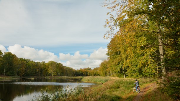 DOF: LA's naturpakke ligner et korstog mod Naturstyrelsen