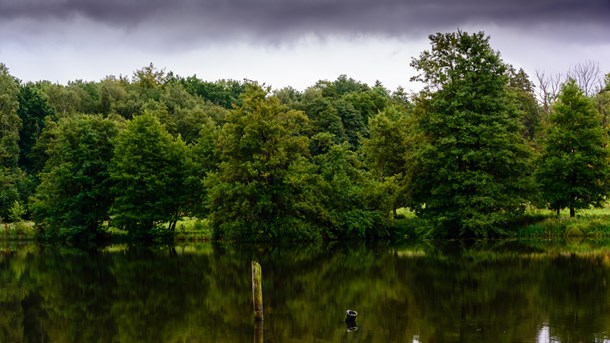 Lone Andersen: Vi har brug for mere viden om naturen