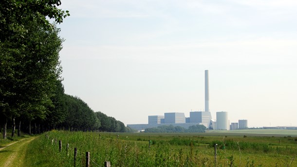 Ny strid om bæredygtig biomasse 