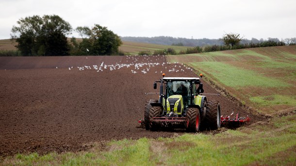 I landbruget italesættes de nye EU-krav, der er på vej, som en stram klimakur til et erhverv, der i forvejen har reduceret deres klimabelastning markant, skriver Tænketanken Frej.