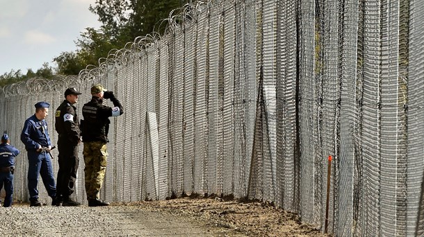 Midlertidigt pigtrådshegn ved den Ungarsk-Serbiske grænse ved Roszke, 180 kilometer sydøst for Budapest.