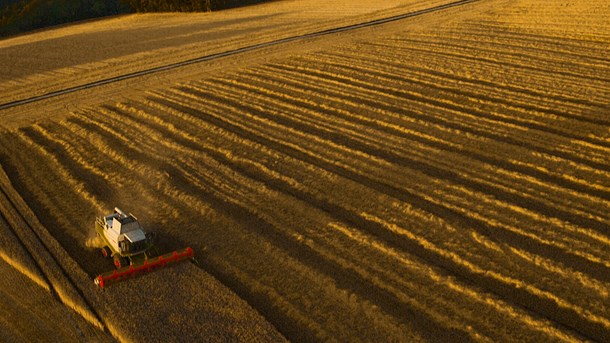 Bæredygtigt Landbrug: Statsministeren glemmer landbruget