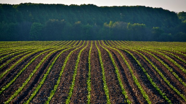 Agri Nord: Råvaregrundlaget for den danske fødevareproduktion skal sikres