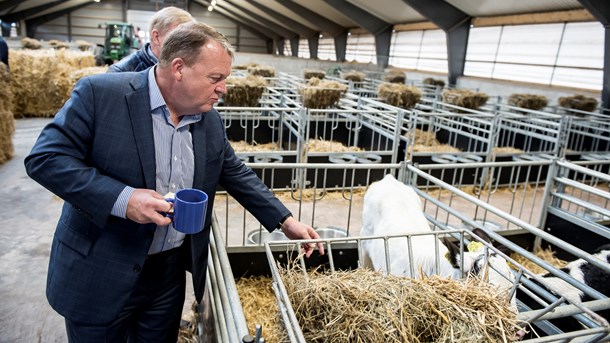 EFTERSPURGT: Lars Løkke er igen en populær mand i de lokale valgkredse, skriver Jarl Cordua.