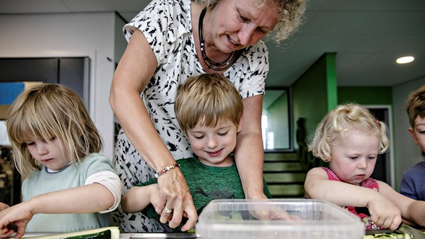 Professionshøjskole: Pædagoger sluger ekstra stor pille