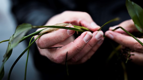 Landmændene lukker hegnslågerne foran forskere, der vil lave målinger og udtage prøver. 