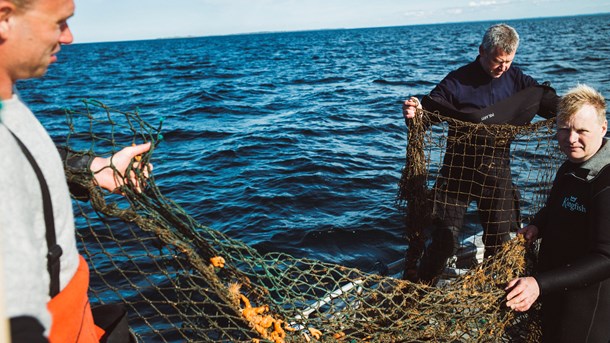 WWF vil redde flere tun og aber og tale mindre om klima