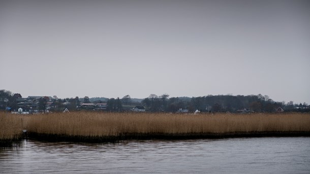 L&F: Manglende AU-accept af panelkritik er gift for forholdet mellem forskere og landbrug