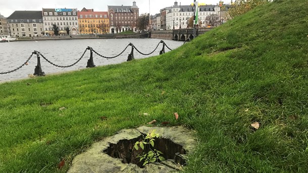 Spirende håb om respekt for politisk håndværk