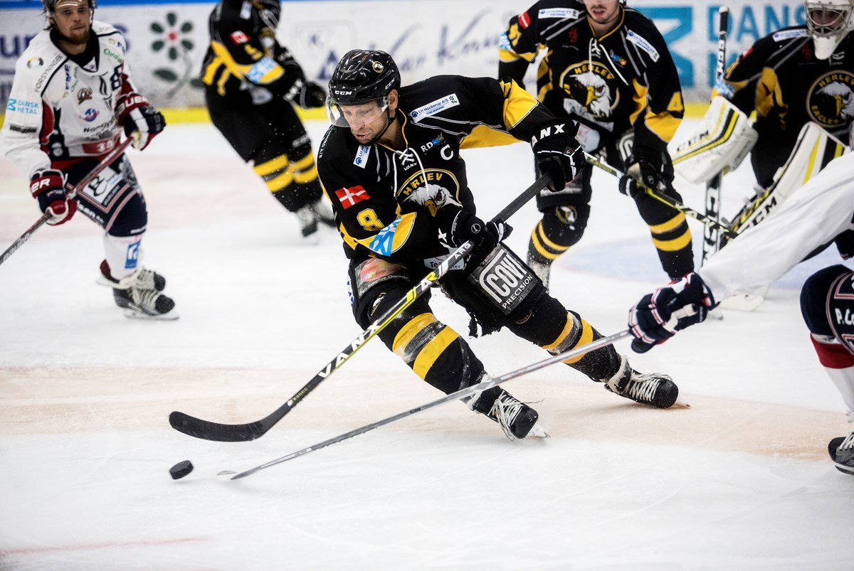 Herlevdrengen Kim Staal er ligesom byens borgmester knyttet til sin hjemstavn. Danmarks bedste ishockey-spiller er kommet hjem for at kæmpe
for, at Herlev Eagles, Ørnene, ikke ender sidst i rækken, som sædvanligt, eller
går konkurs. Kommunen har lige været med til at bevilge millioner til en ny
skøjtehal, ikke til eliten, men sådan at byens børn ikke skal skøjte til midnat
på skoleaftener. 