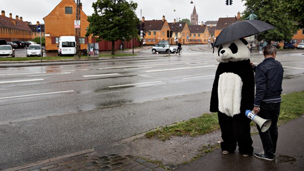 Tidligere klimachef: WWF’s nye strategi er hovedrystende gammeldags