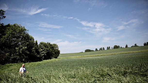 Kravene om reduktion af kvælstof får stor indflydelse på landbrugets produktion, som vil falde betydeligt, hvis planerne føres ud i livet. Produktionen er allerede nu på vej mod udlandet, og den udvikling vil eskalere, skriver Mogens Dall.