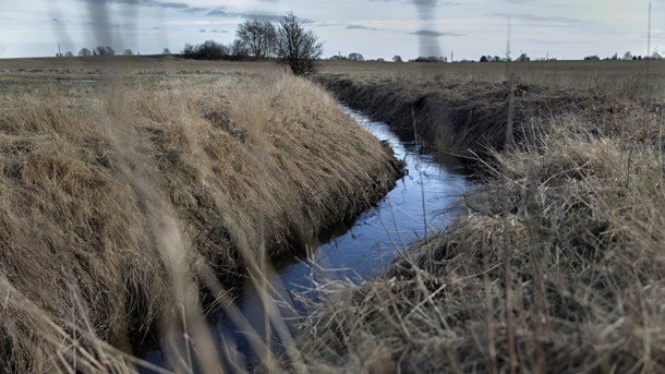 Fra fond til forsker: Nanogødning skal reducere landbrugets fosforudledning