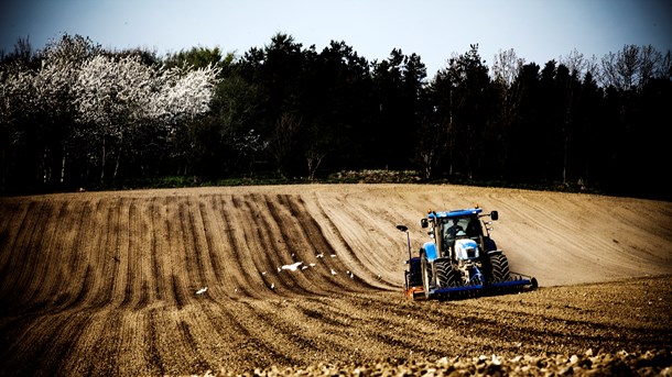 Det er et lille mirakel, at vi i Danmark har et af verdens mest velfungerende og effektive setup til at hjælpe landmænd med at optimere deres produktion og producere flere fødevarer af høj kvalitet med stadig mindre miljøbelastning, skriver Anne Lawaetz Arhnung. 