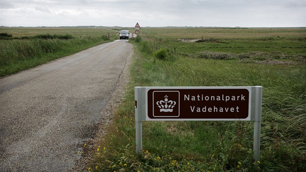 Det, der i dag adskiller en dansk ‘nationalpark’ fra et hvilket som helst andet areal i Danmark, er primært de skilte, hvorpå der står 'Nationalpark', mener Rune Engelbreth Larsen.