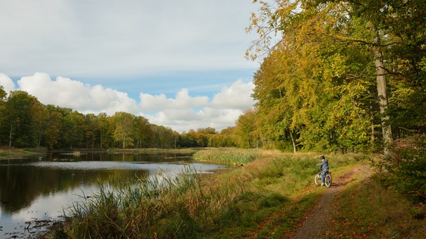 Hård kritik af ny nationalpark-formand