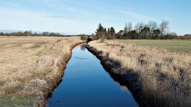 Regnemodellen, der skal vurdere konsekvenserne af landbrugspakkens tilladelse til øget gødning, er blandt andet blevet kritiseret i et indlæg på Altinget. Problemet er, at en del af kritikken bunder i misforståelser.