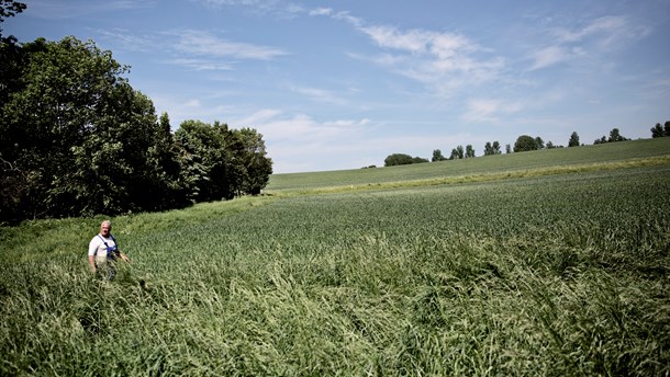 L&F om kritik af nationalpark-formand: Det er uartigt og direkte flabet