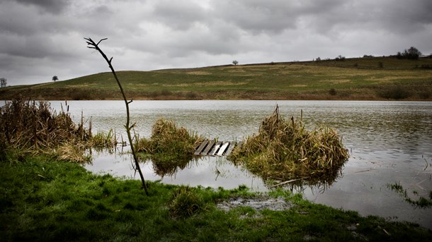 EU kræver intet om, at ”der i Danmark frem mod 2027 skal ske en reduktion af landbrugets kvælstofudledning”. Men alligevel spreder Miljøministeriet det usande budskab, skriver Poul Vejby-Sørensen.