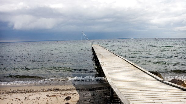 Badebroer og hestesurfing: Ny pulje skal skabe mere liv langs kysterne