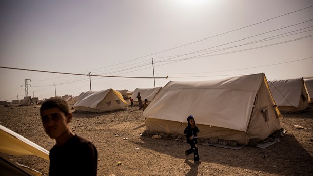 Hanne-Vibeke Holst: Ferien, du gerne vil hjem fra