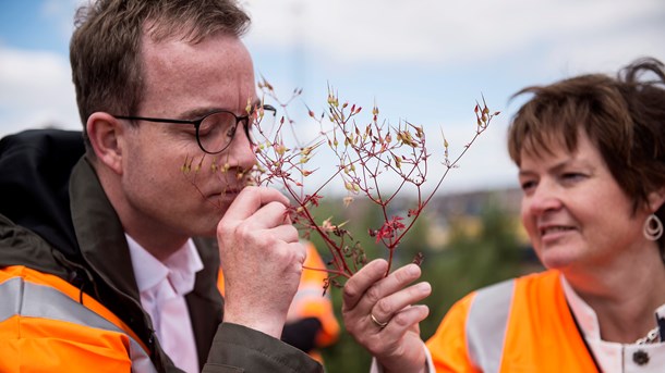 Esben Lunde: Vi skal opgøre Danmarks bidrag til verdens natur bedre