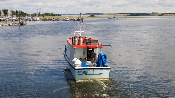 Miljøstyrelsen overvåger blandt andet iltsvind i danske farvande. Her indsamles vandprøver i Limfjorden. 