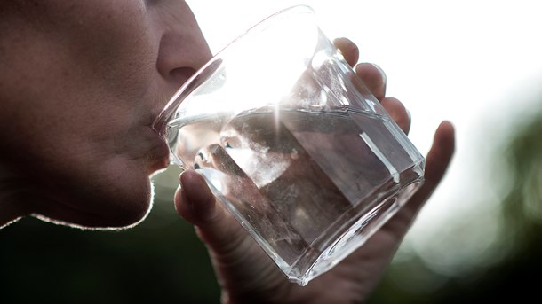 Schaldemose: Nyt udvalg skal sikre tilliden til EU's pesticidregler