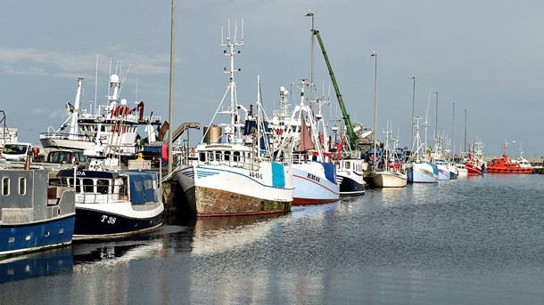 Det er desværre langt fra alle fiskere, der overholder forbuddet mod trawlfiskeri i Øresund, skriver Magnus Eckeskog fra Greenpeace.