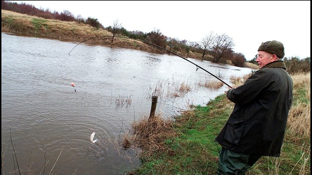 Vandløb skal både kunne rumme gode fiskebestande og sikre den nødvendige afvanding af jorden, skriver Dansk Sportsfiskerforbund og Landbrug & Fødevarer.