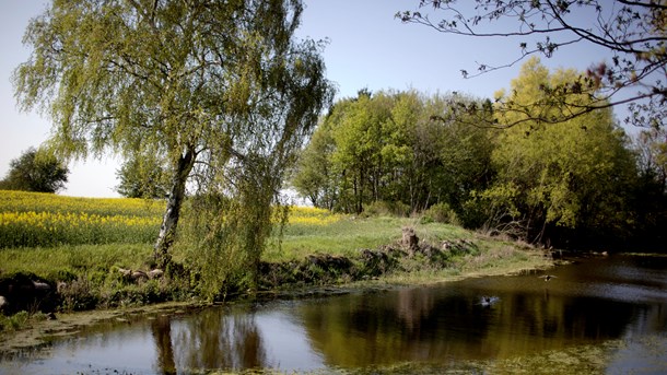 Fosforlofterne skal i alt beskytte 417 søer mod forurening.